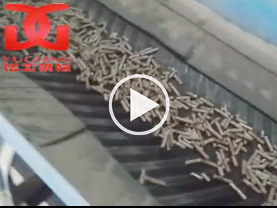 湖南用户卢总木屑颗粒生产现场